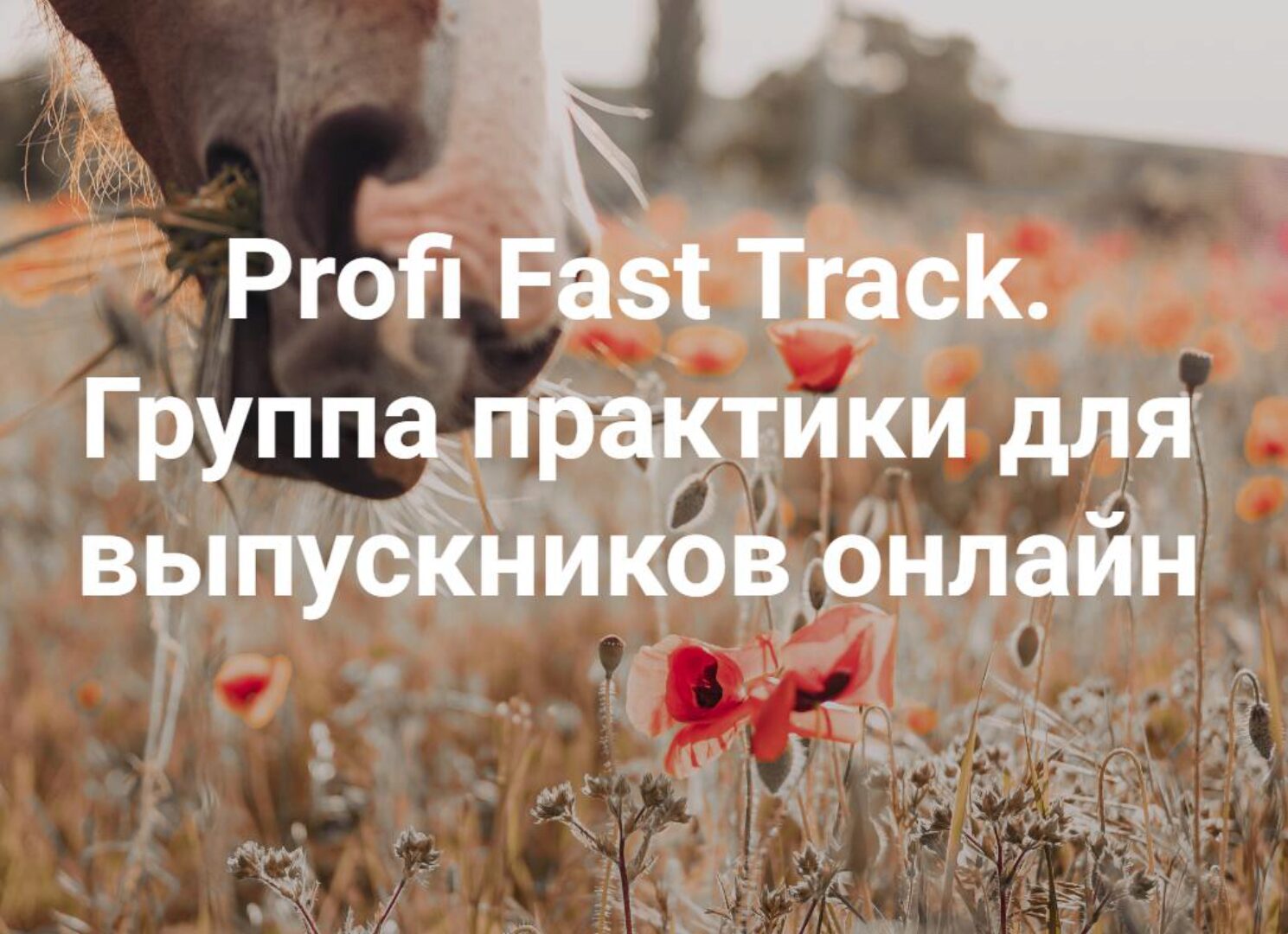 [Институт Открытого поля] Profi Fast Track. Всё всегда плохо. Группа практики для выпускников онлайн 2024 (Елена Веселаго)