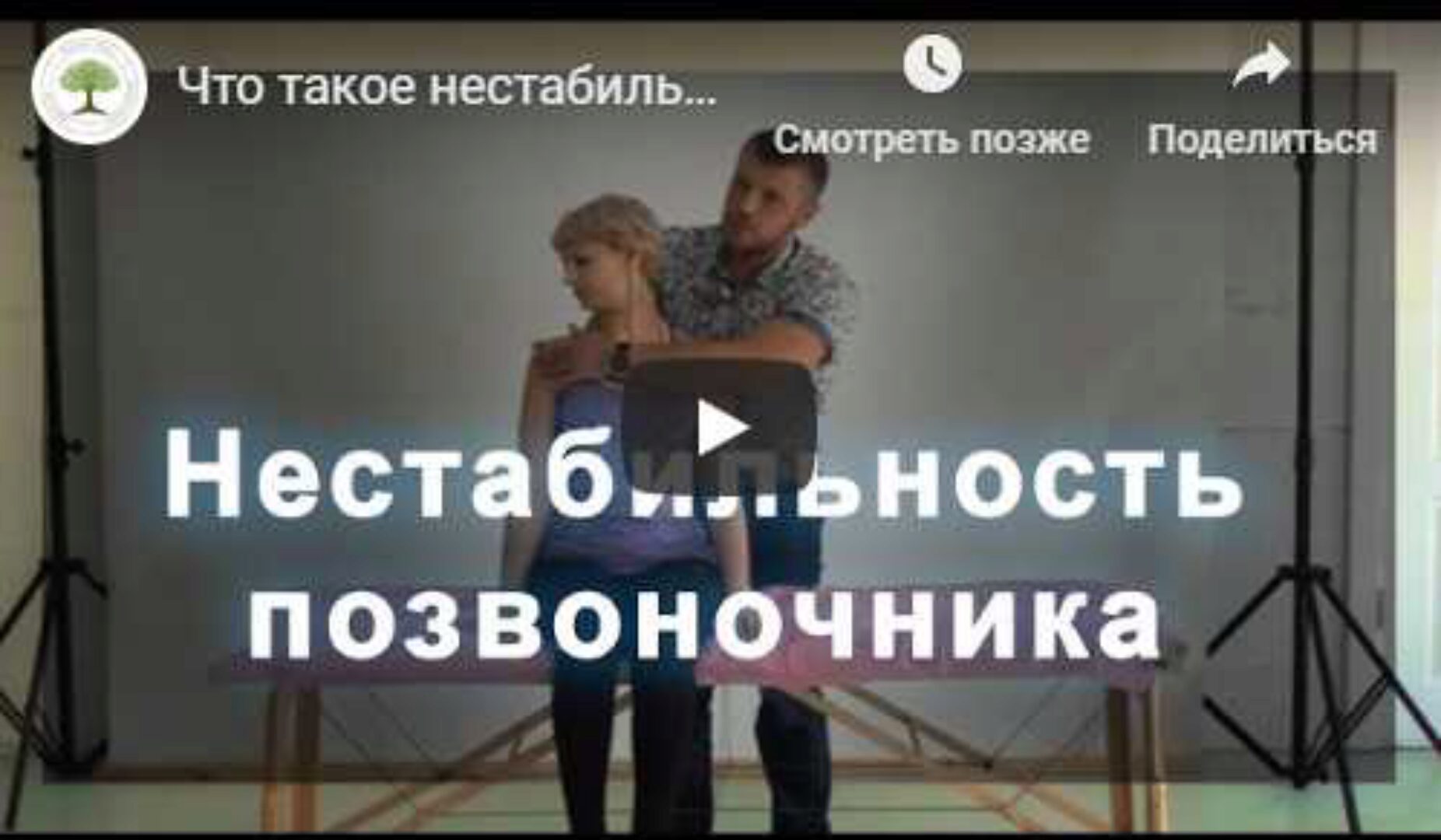 Интенсив по мышечно-фасциальным цепям (Дмитрий Кущик)