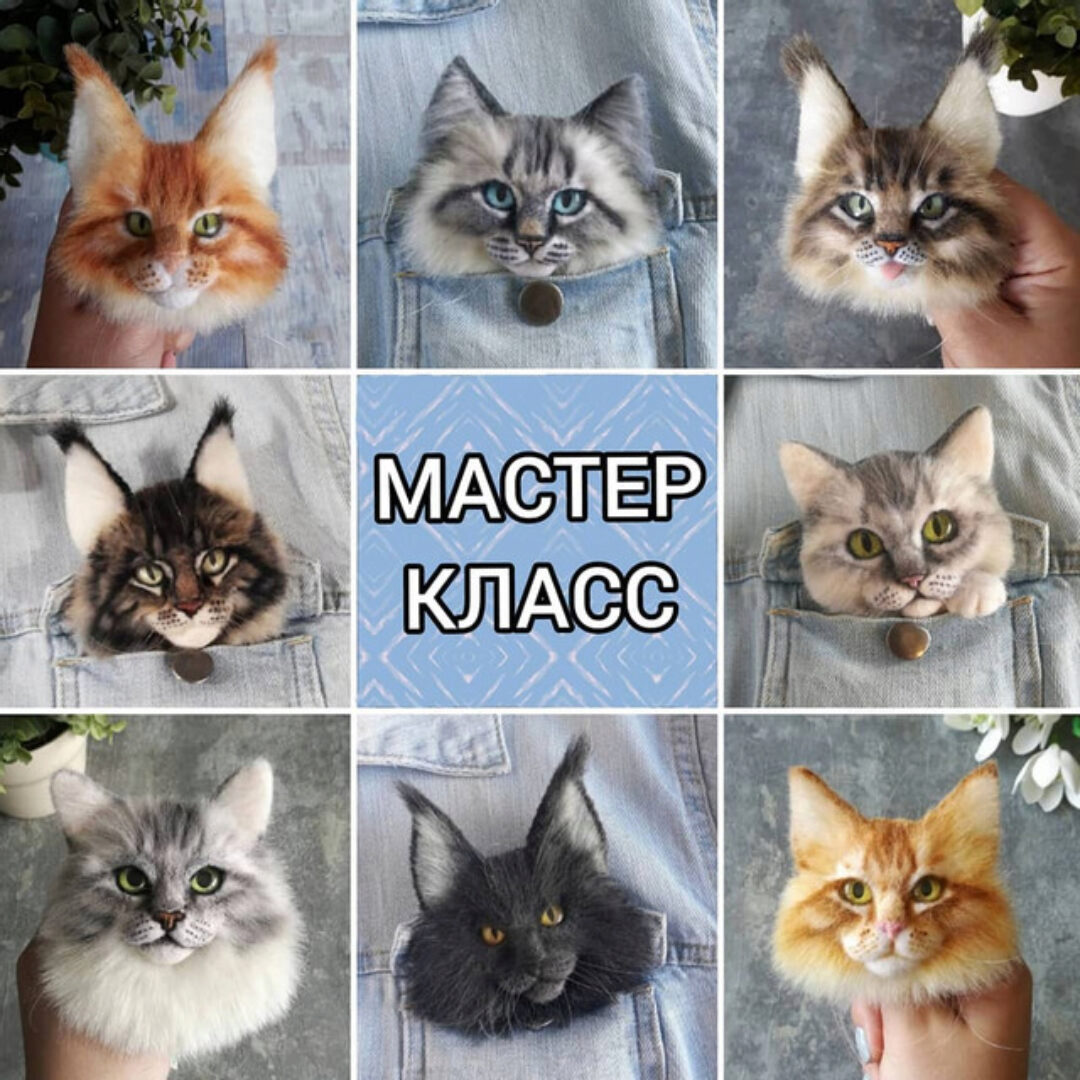 Он-лайн по варежкам и броши кошки породы мейн- кун  (Марина Грубер)
