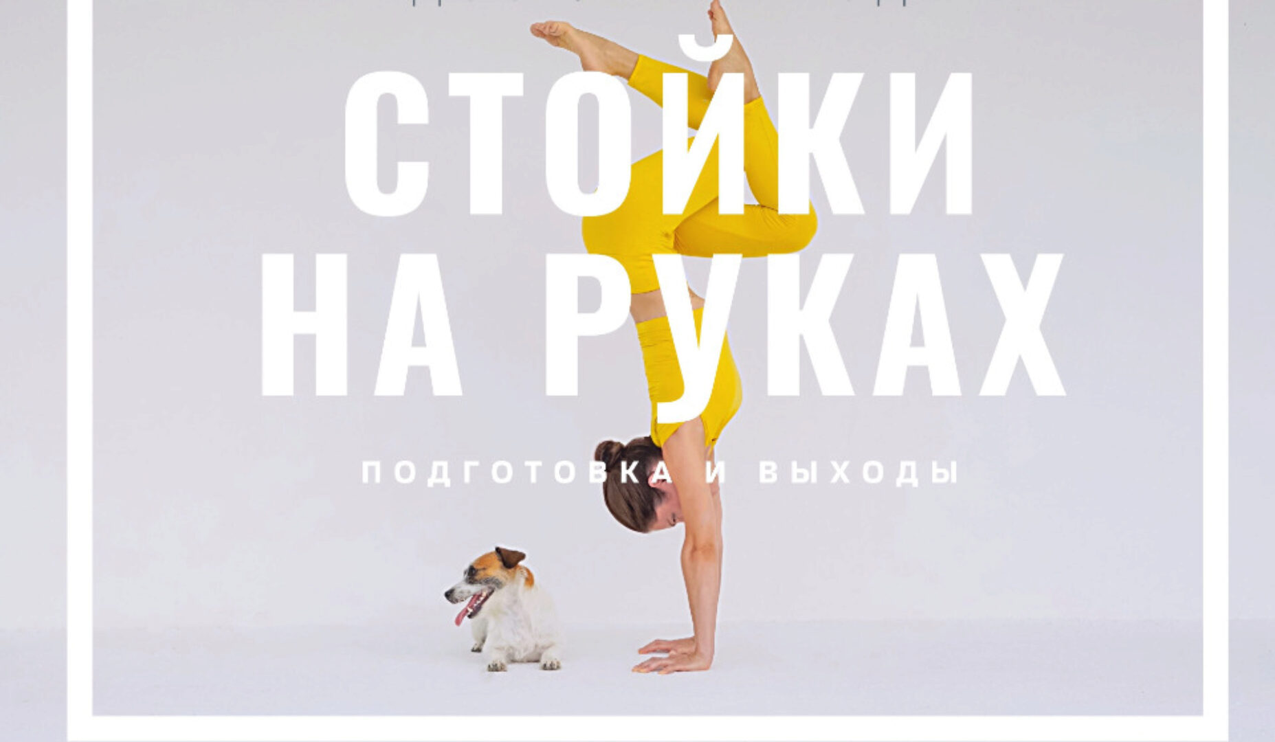 Стойки на руках: от нуля. Подготовка и выходы + Подготовка рук к стойкам (Евгения Токц)