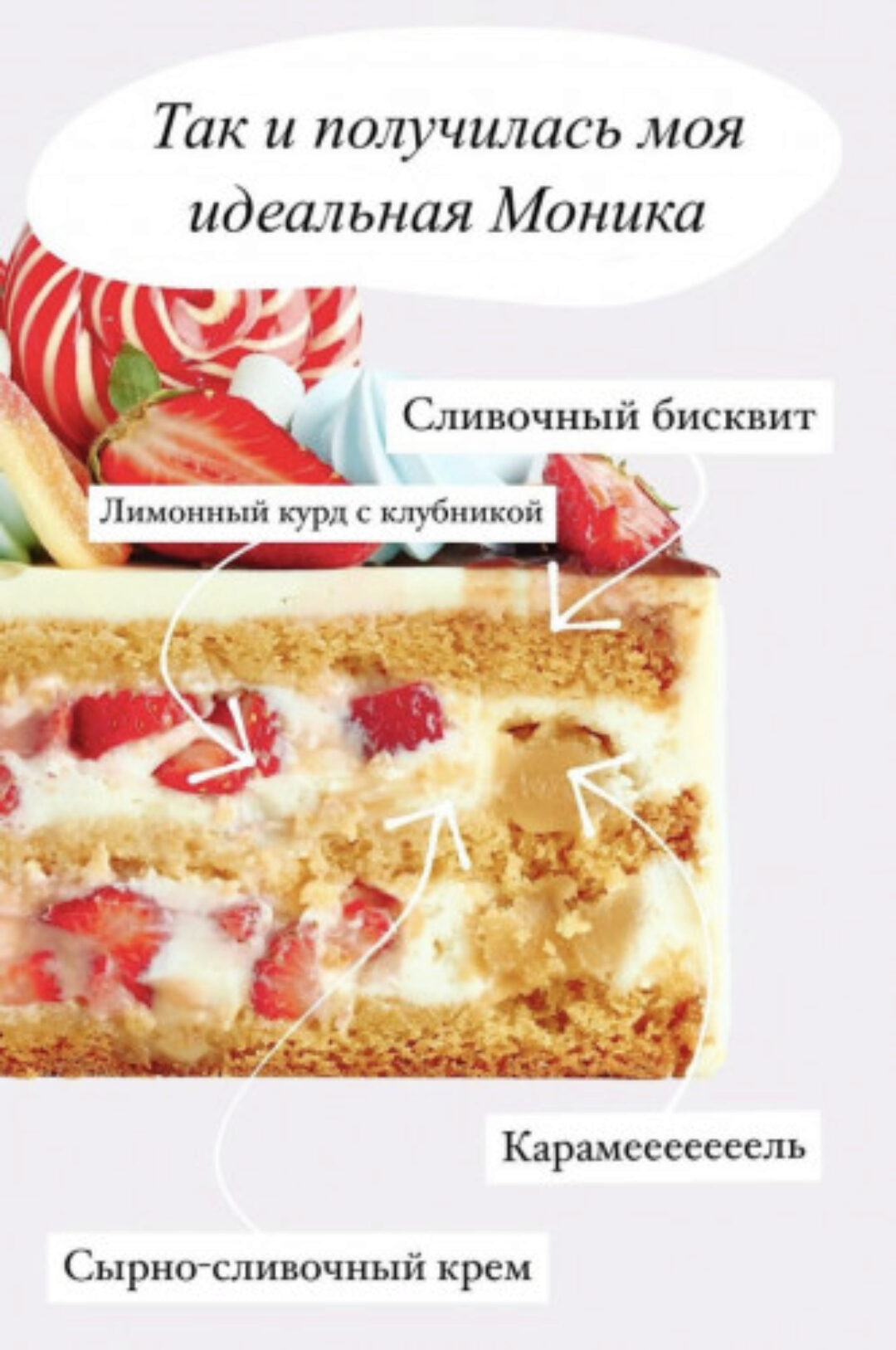 Торт «Моника» (Ольга Богатова)