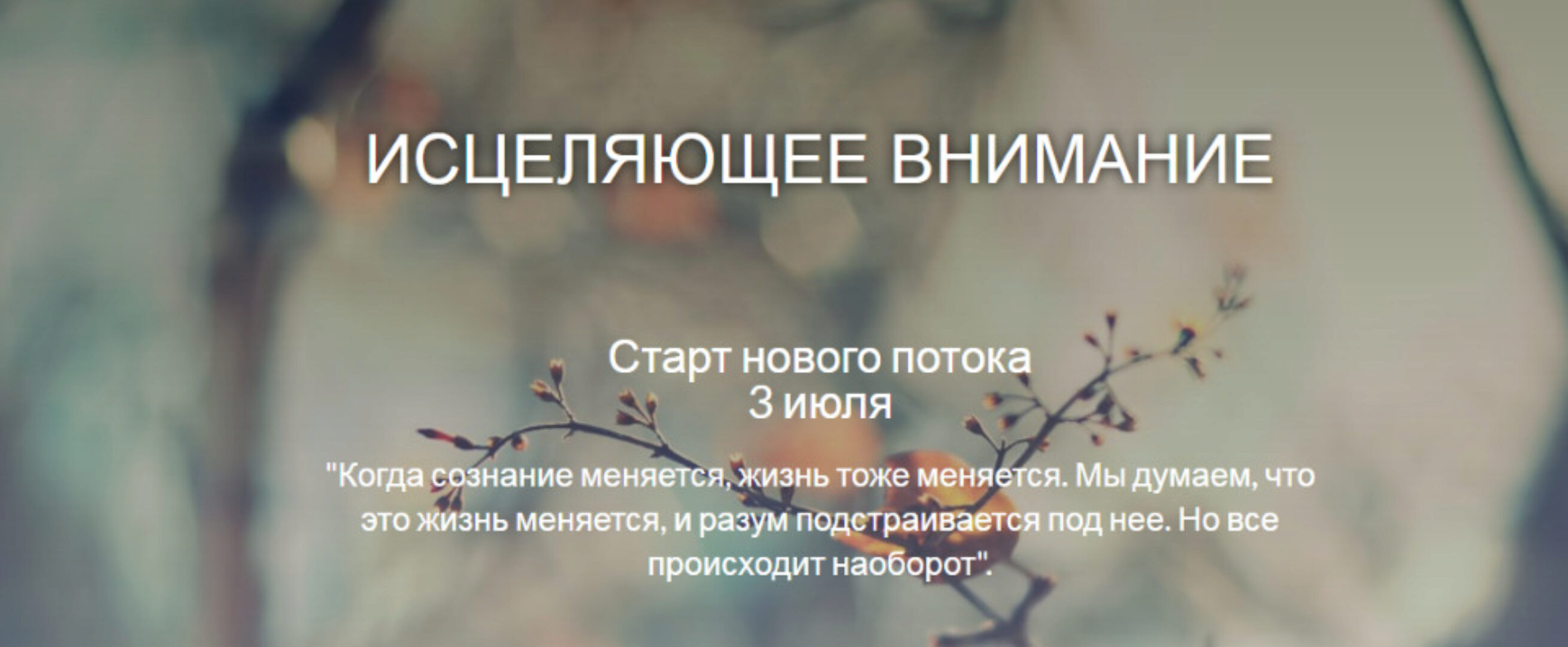 [MindFocus] Исцеляющее внимание (Катерина Суратова)