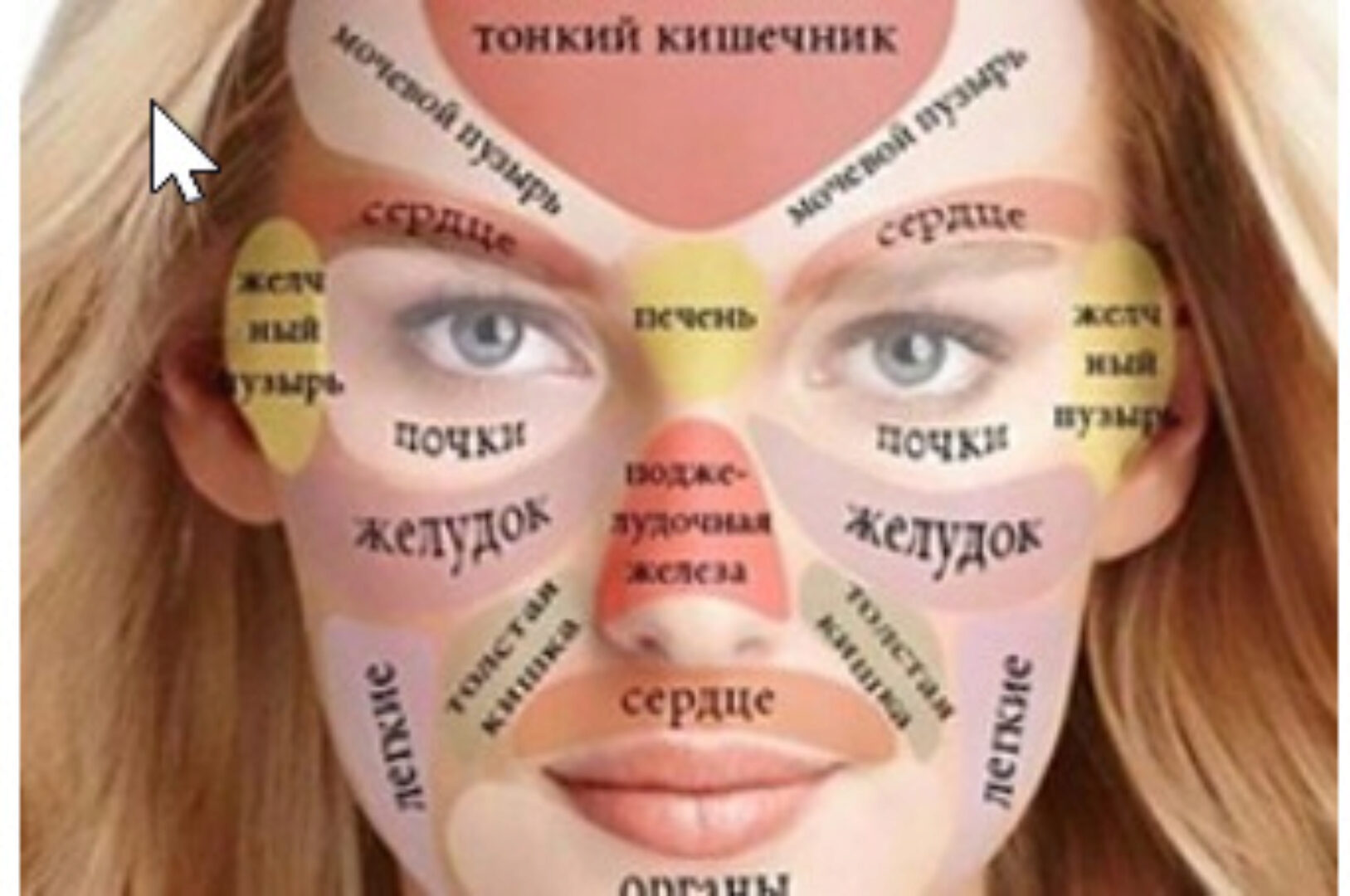 Диагностика по внешним признакам. Вебинар №1 (Елена Макарова)