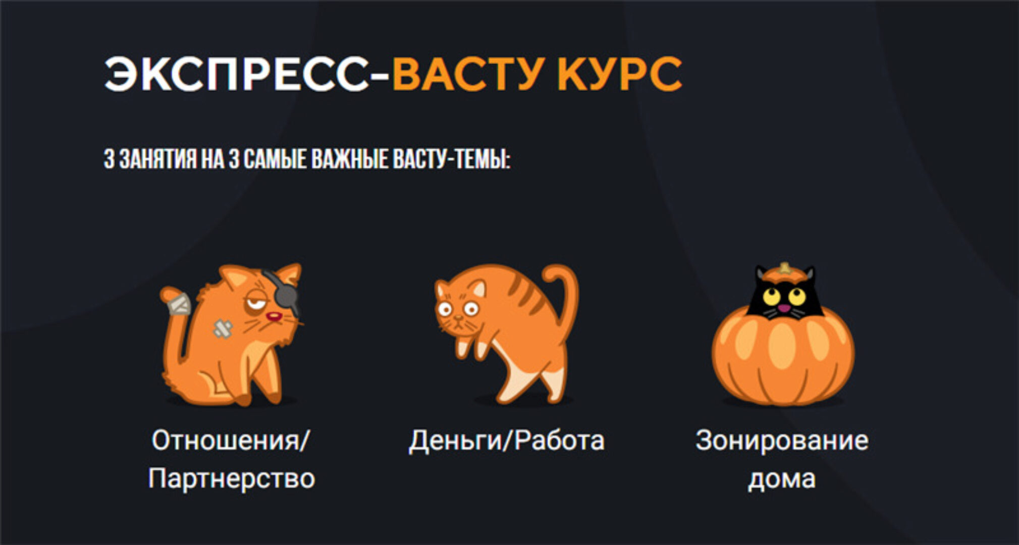 [Васту Школа] Экспресс-васту курс. Весь Васту (Юлия Морозова)