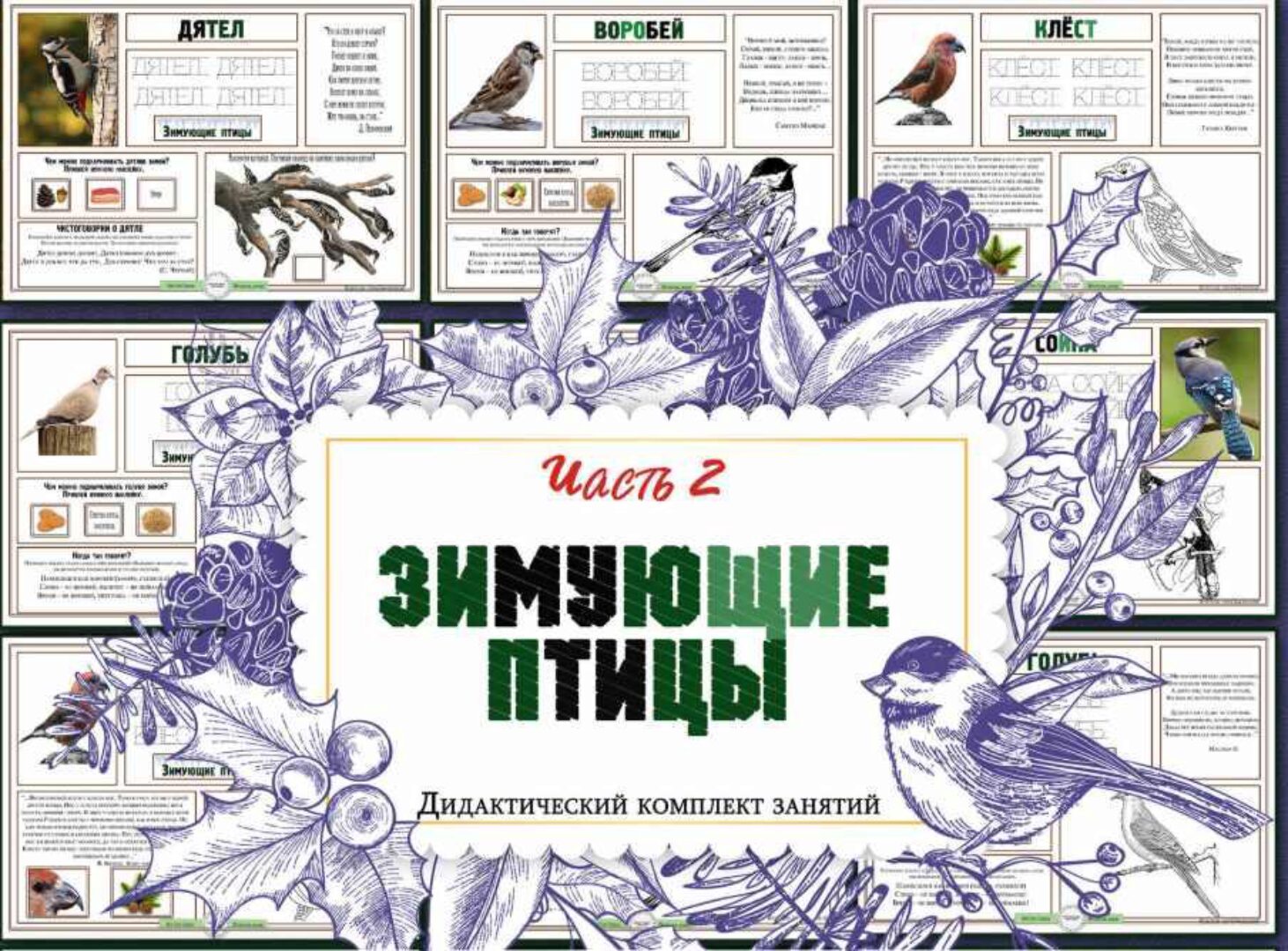 Зимующие птицы. Часть 2 (Елена Солдатова)