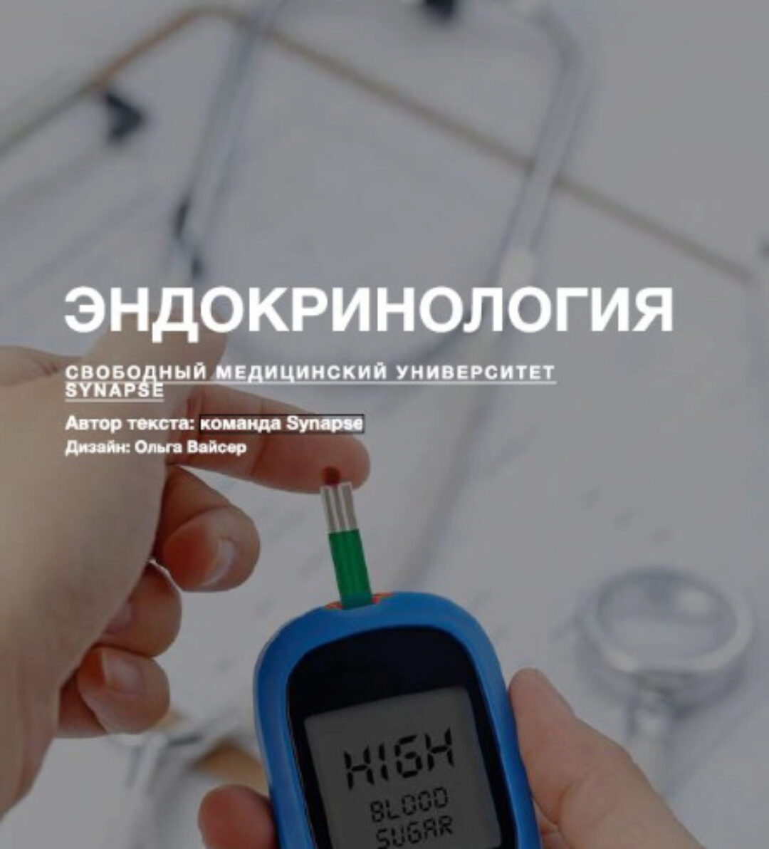 [Synapse] Учебник по эндокринологии. Методичка