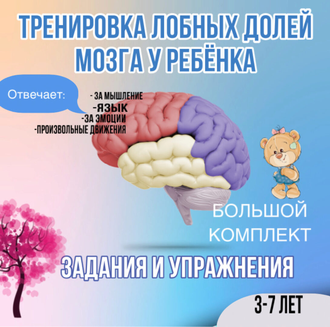 [Logoprofy] Тренировка лобных долей у ребенка (Тамара Назаревская)