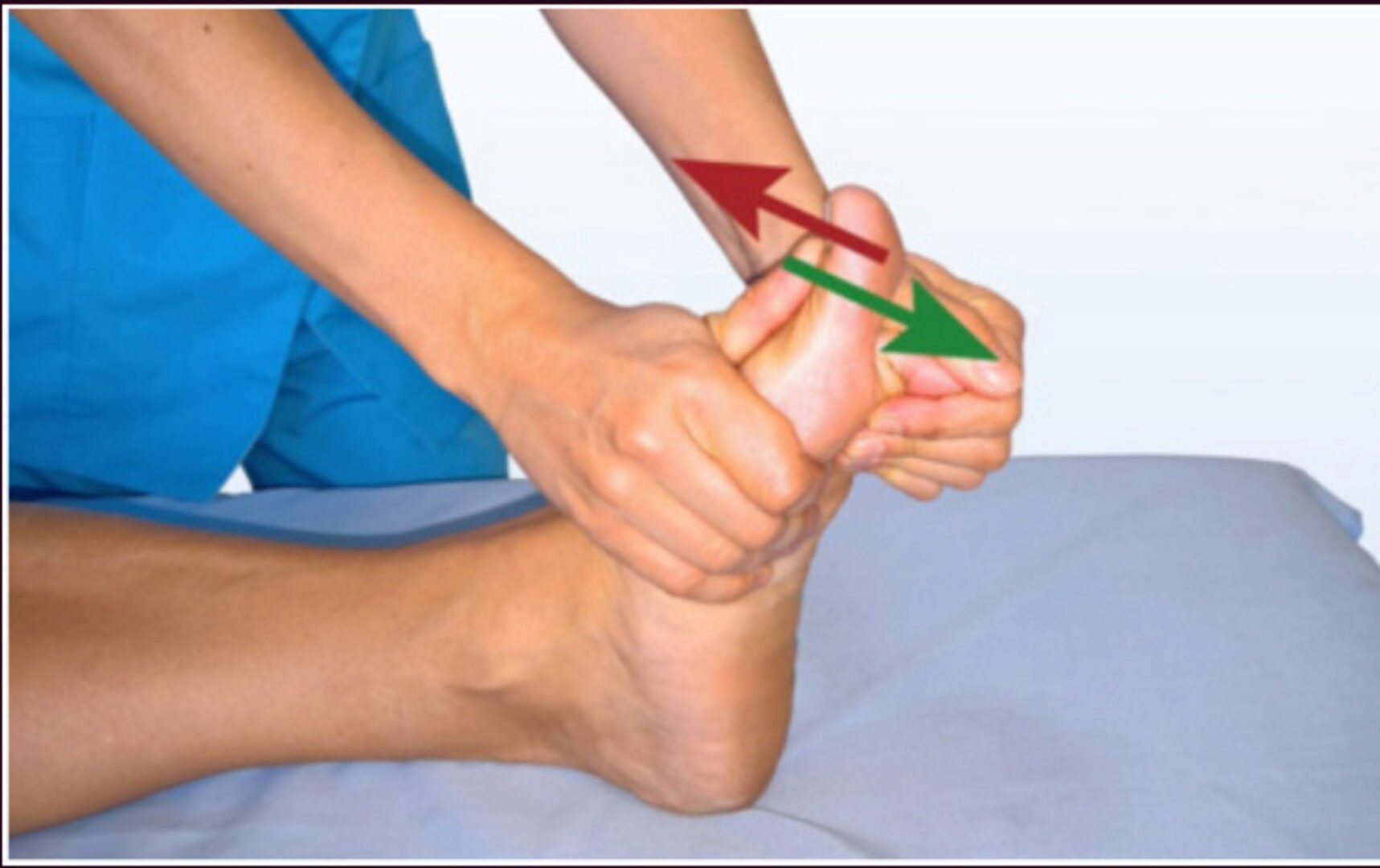 Стопа и голеностопный сустав (Фидель Субботин)