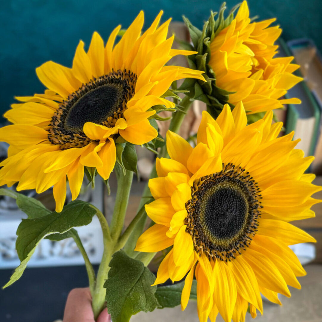 [tanyaflower] Подсолнухи (Татьяна Кононова)