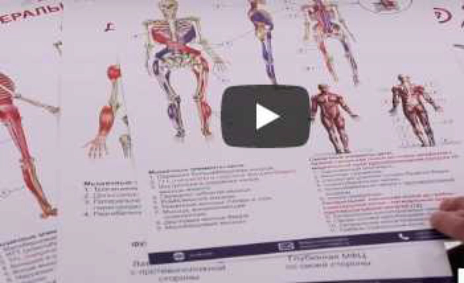 Плакаты по миофасциальным цепям (разработка УАПК)