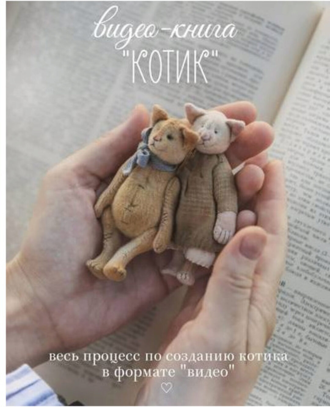 Видео-книга Котик (Наталья Суранова)