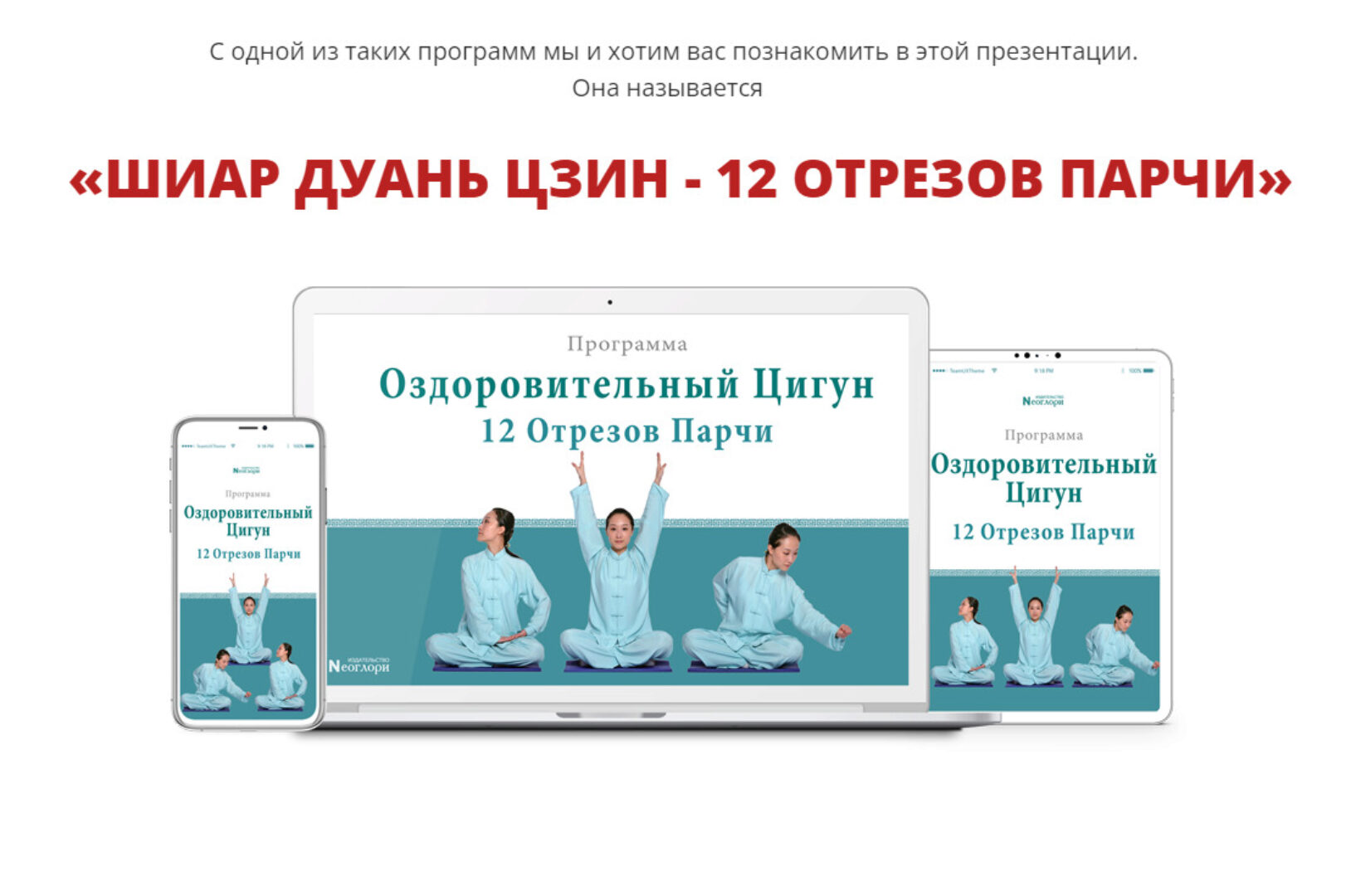 [Неоглори] Шиар Дуань Цзин. 12 отрезов парчи