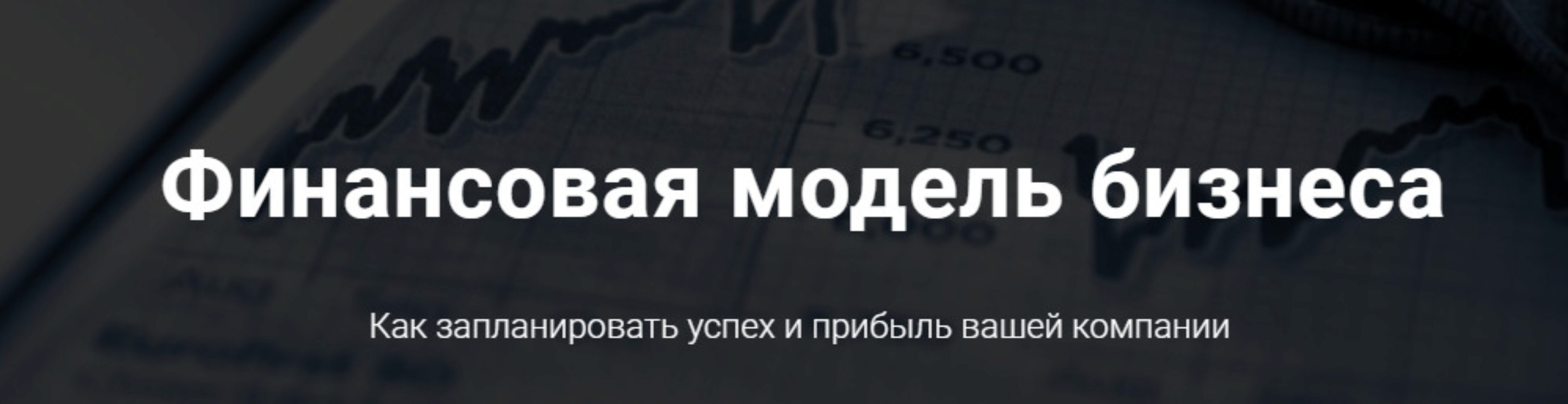 [Webtrening] Финансовая модель бизнеса (Филипп Богачев ,Павел Вешаев)