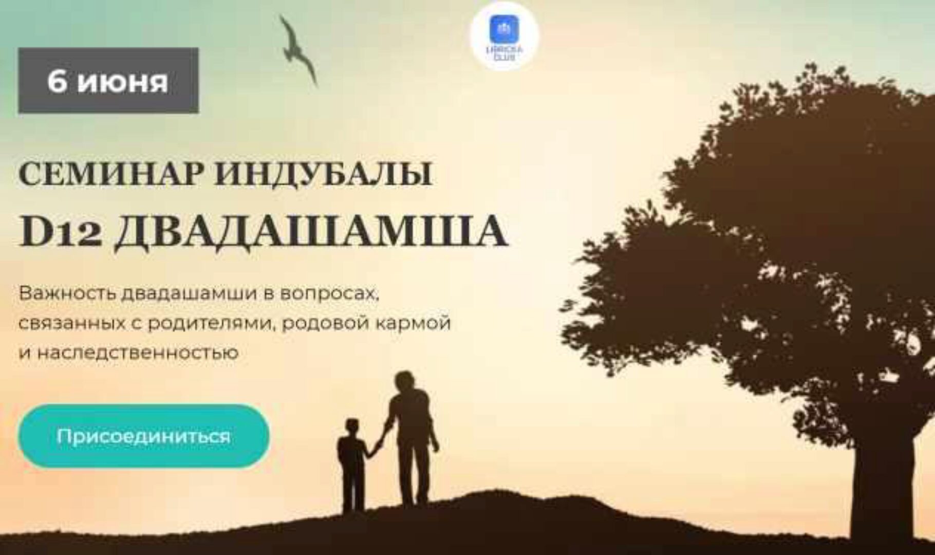 D12 Двадашамша (Индубала)