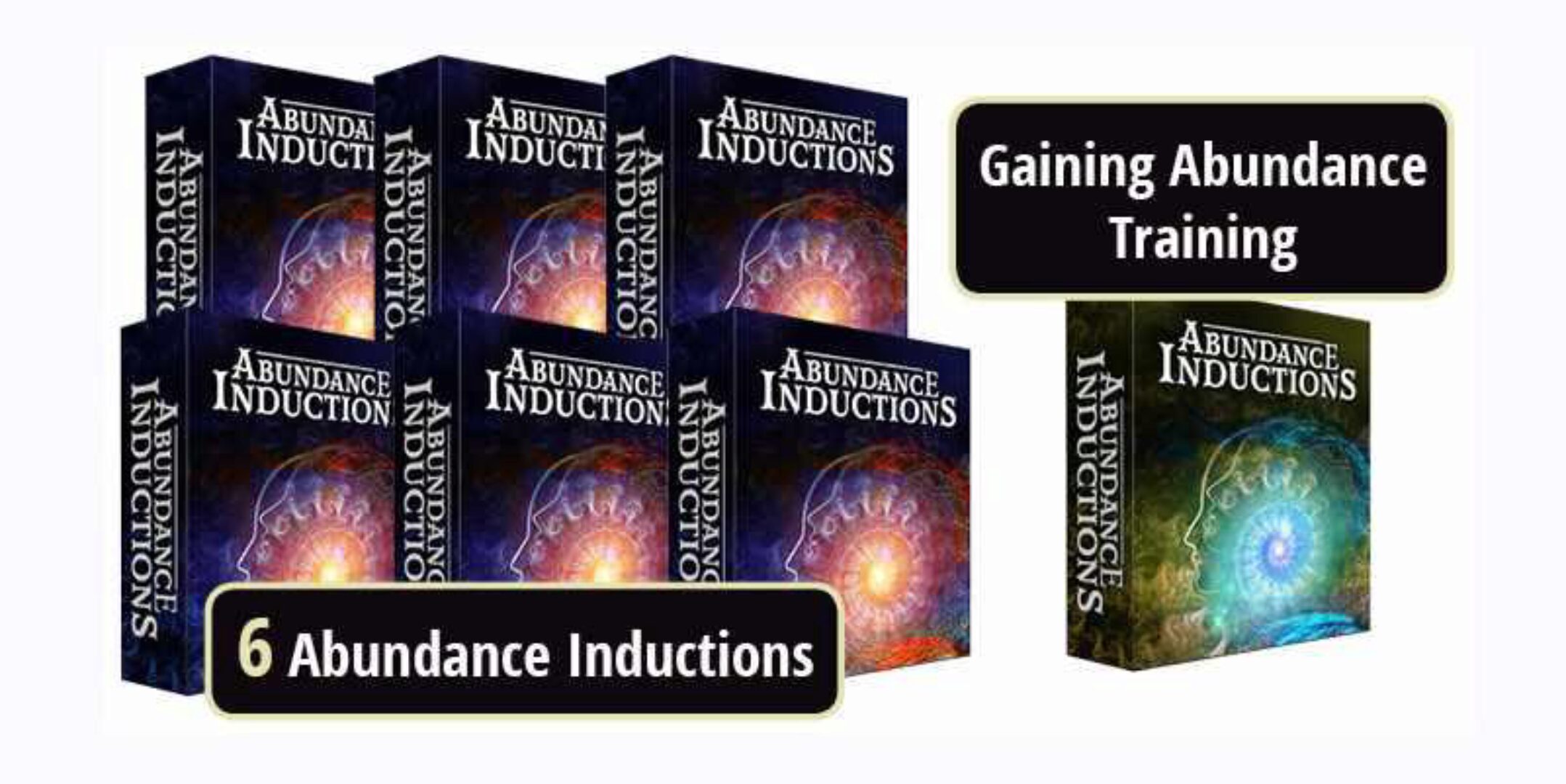 Индукции Изобилия (Игорь Ледоховский)