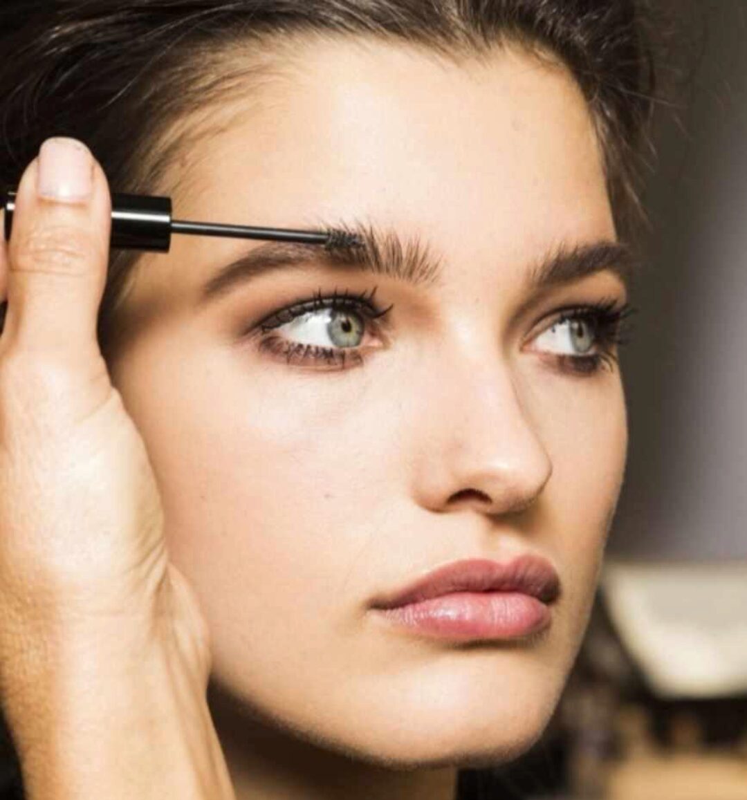 Архитектура бровей, колористика (Анна Парфенова)