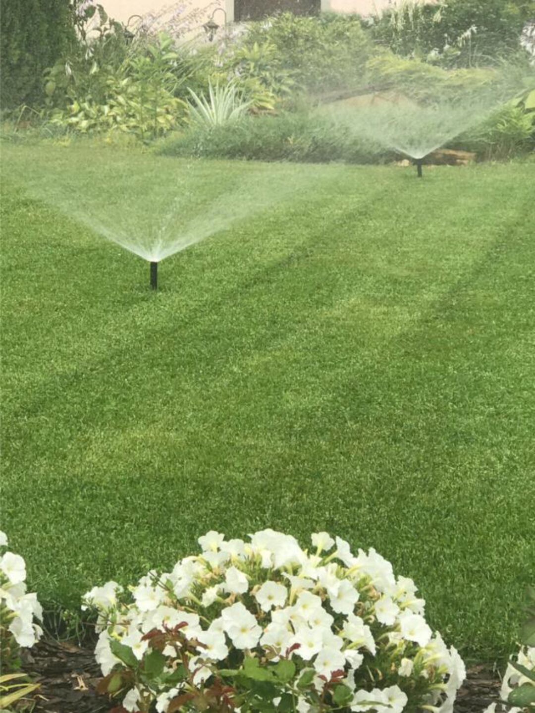 [sadlarisy] Курс по созданию автоматического полива