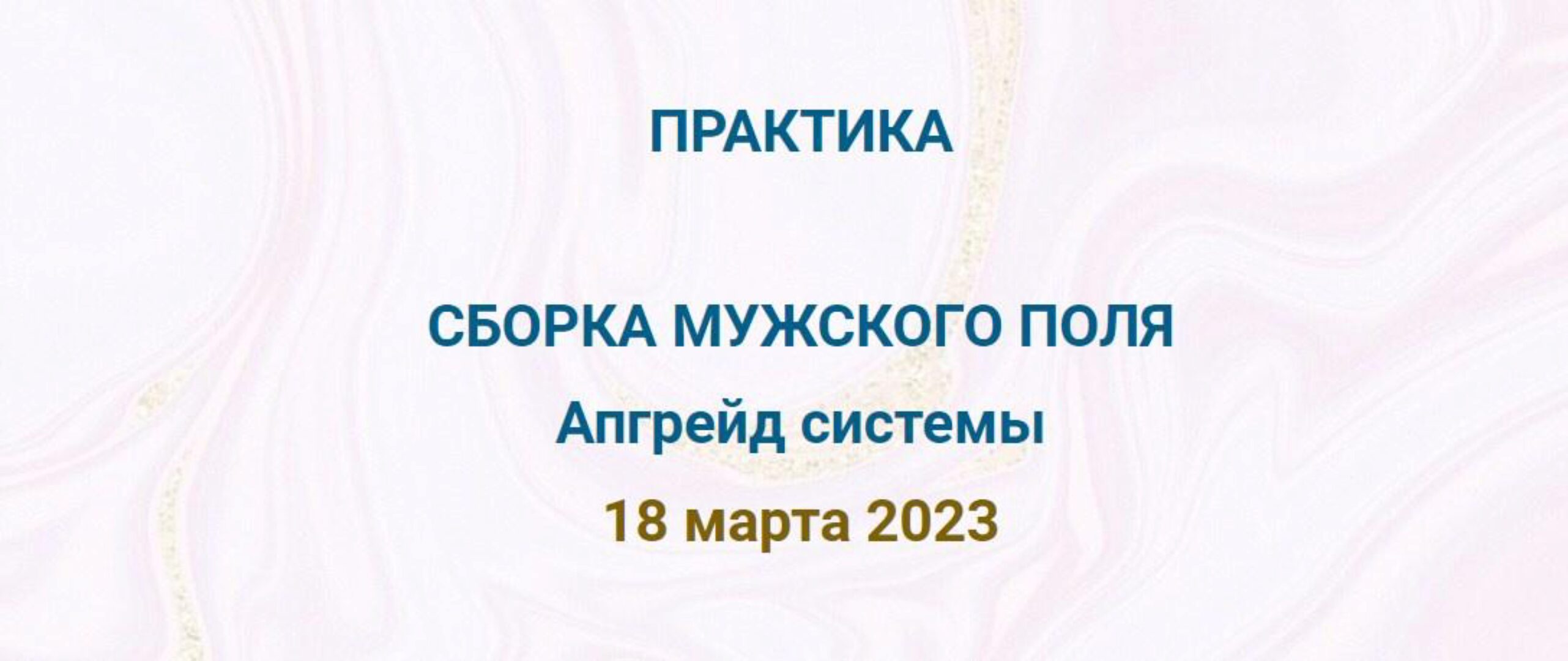 Сборка мужского поля. Апгрейд системы (Эмилия Франк)