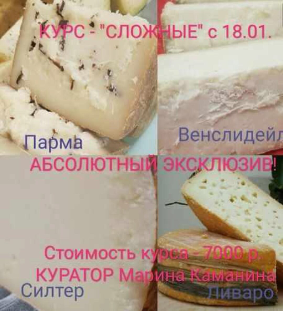Сложные сыры (Марина Каманина)