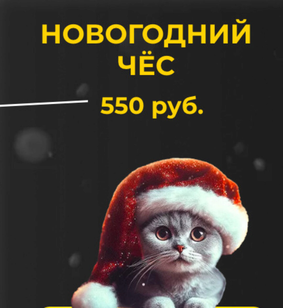 Новогодний чёс (Игорь Цаплин)