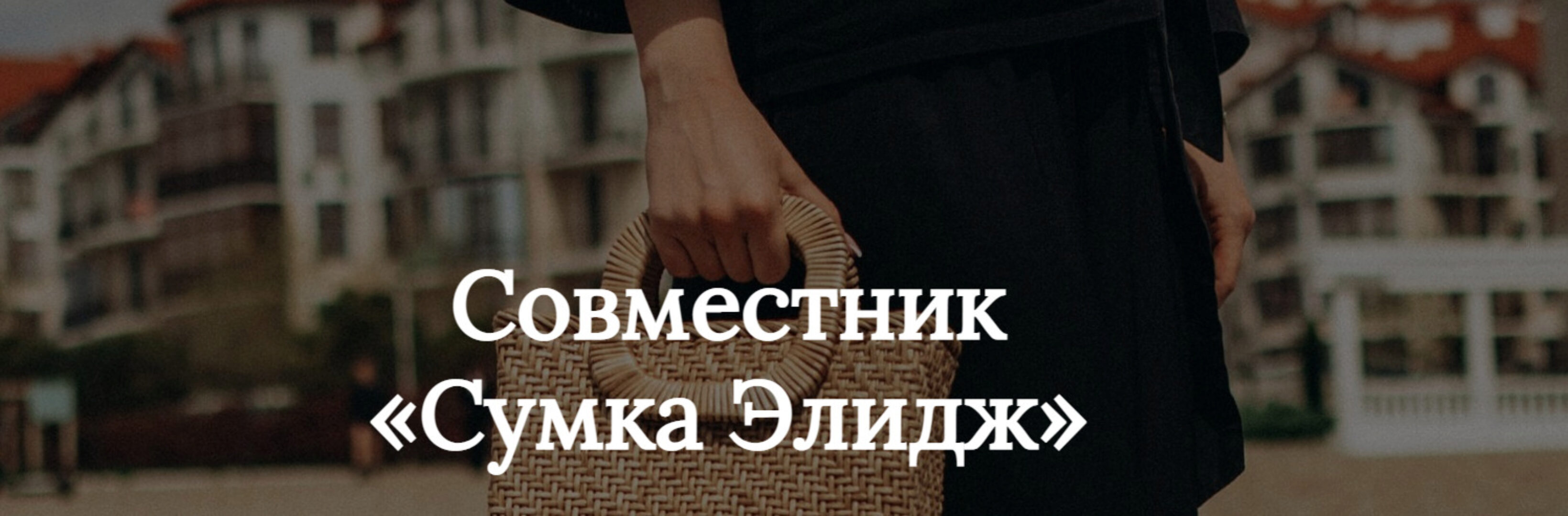 Совместник Сумка Элидж (Ольга Оболенская)