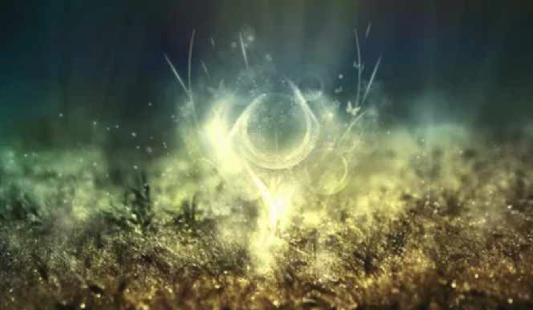 Марафон Чудо (Дарья Хэнсон)