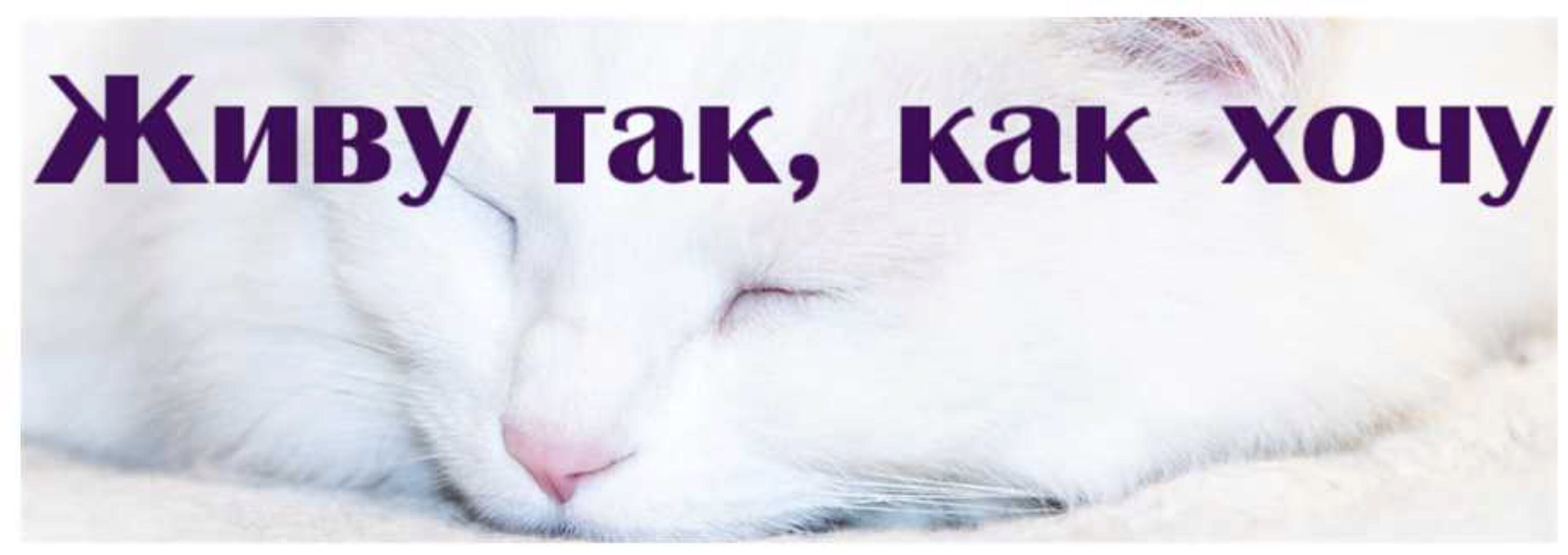 Живу так, как хочу (Надежда Семененко)