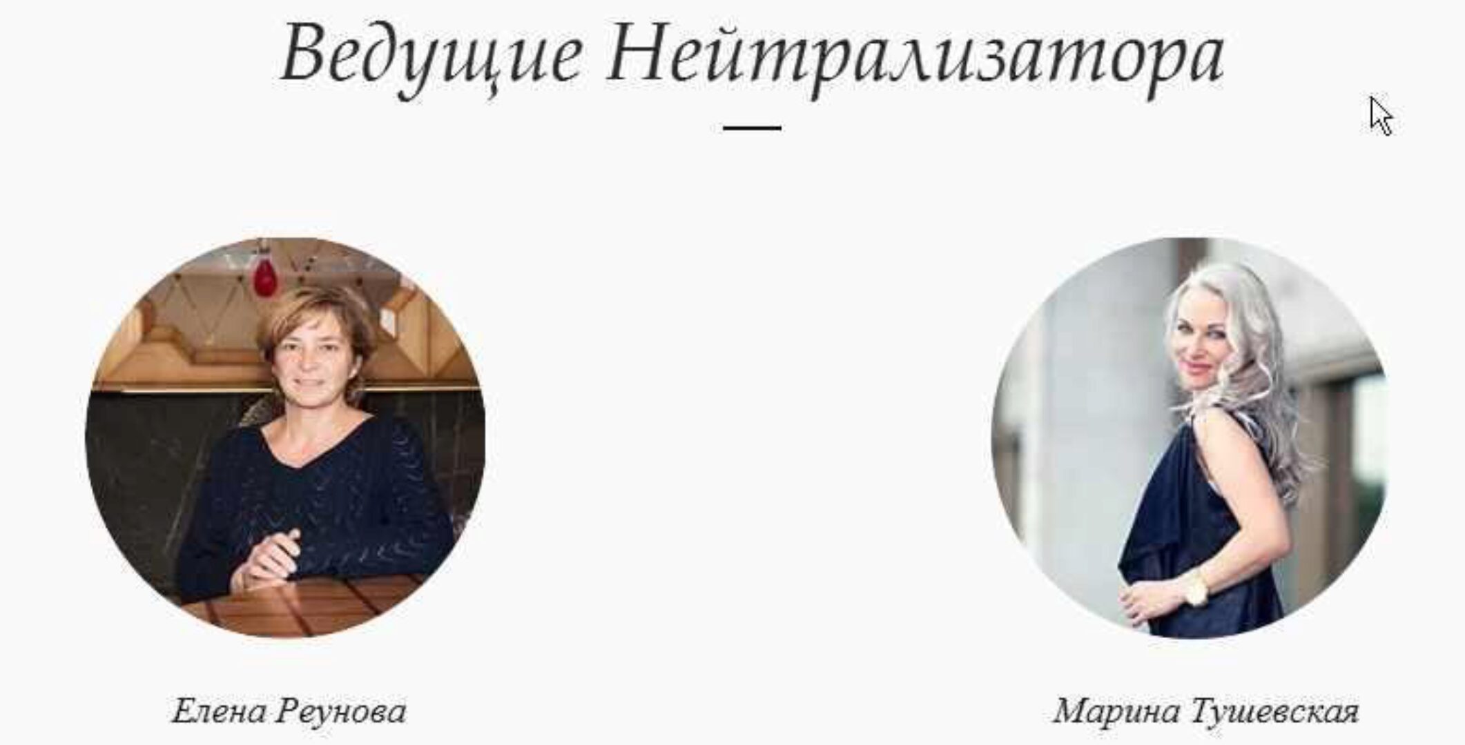 Нейтрализатор программ подсознания. Интенсив (Елена Реунова)