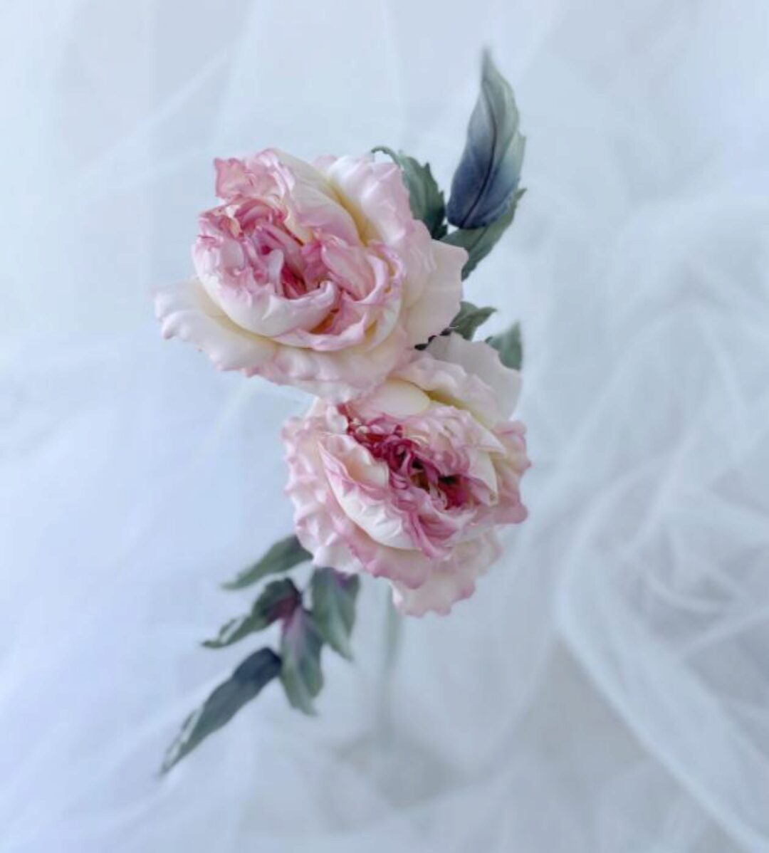 Роза Мальмезон (Elena Fiore)