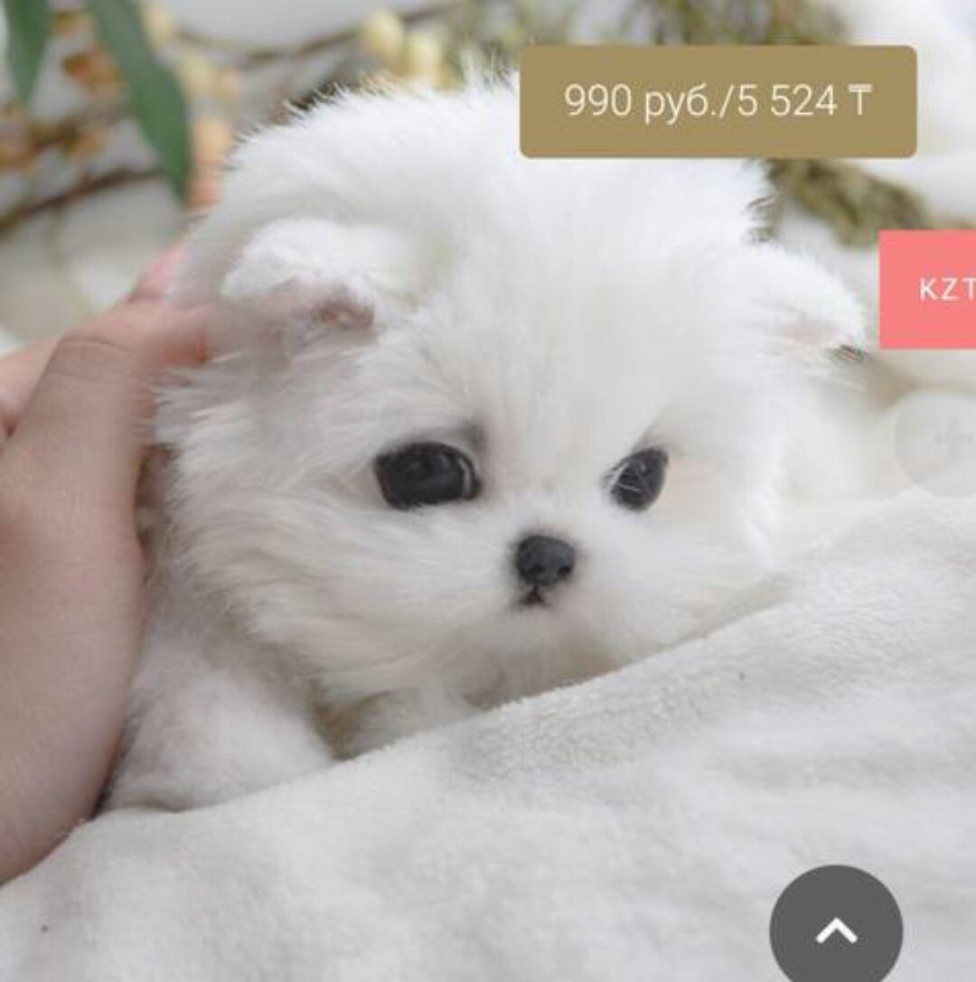 [Home Fellows] Построение выкройки. Базовый курс (Юлия Зубарева)