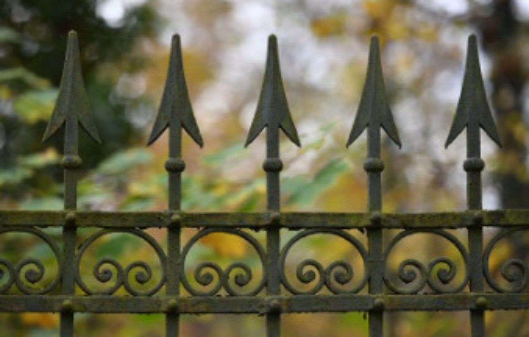 Граница. Онлайн-семинар (Елена Веселаго)