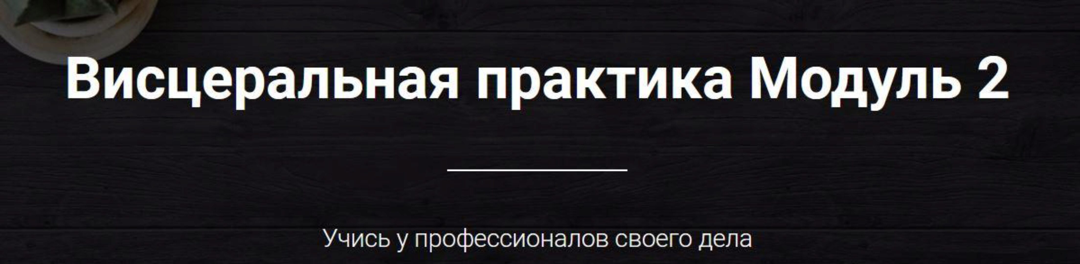 [Emnika] Висцеральная практика. Модуль 2 (Егор Москалёв)