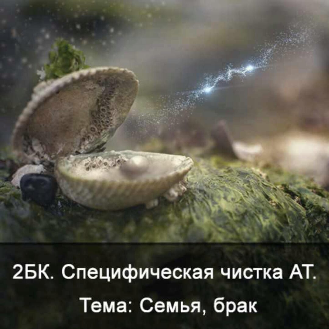 2БК Специфическая чистка астрального тела. Тема Семья, брак (Ксения Меньшикова)