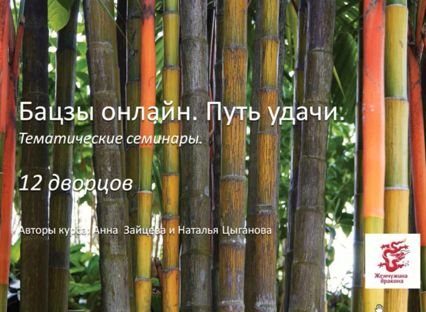 12 Дворцов в бацзы (Анна Зайцева, Наталья Цыганова)