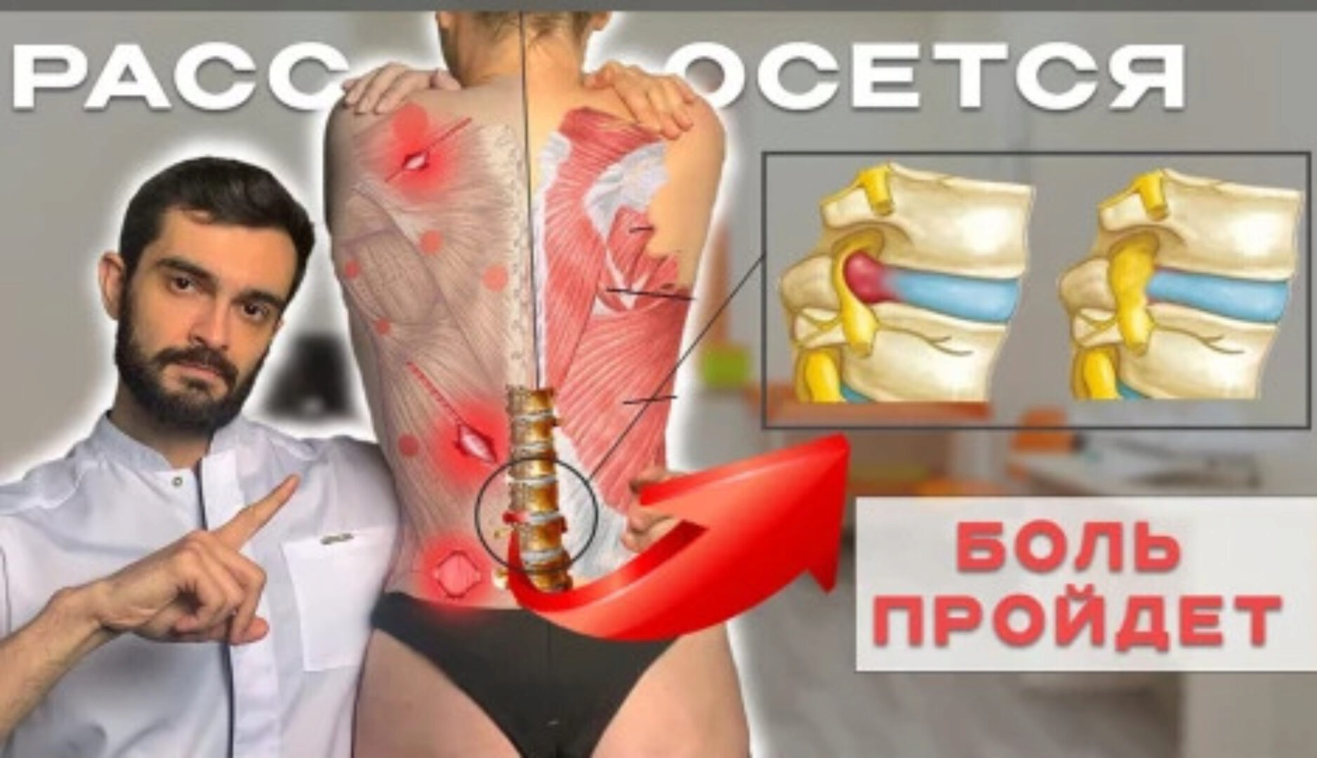 Система Фундамент здоровья (Андрей Павлов)