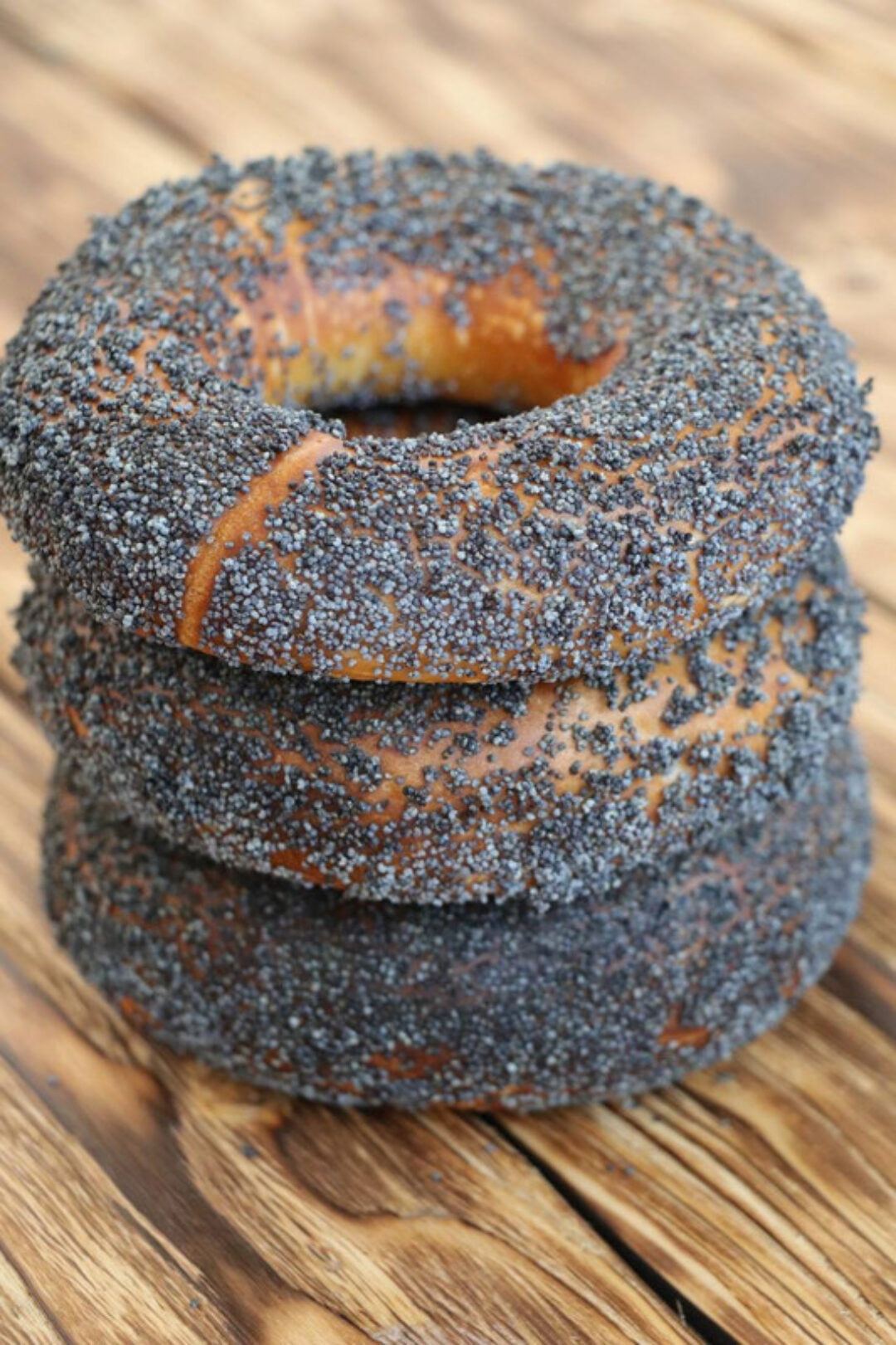 [catherineswarovskaya] Бараночное дело Cosa Baranka (Екатерина Сваровская)