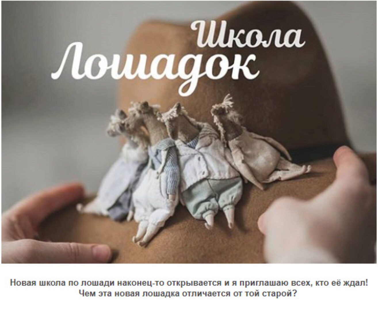 Школа Лошадок (Наталья Суранова)