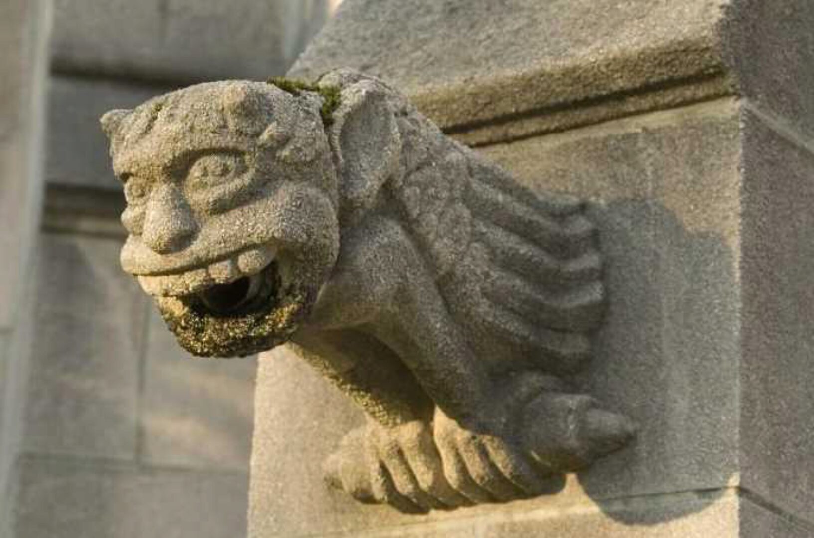 Практика и жизнь (Елена Веселаго)