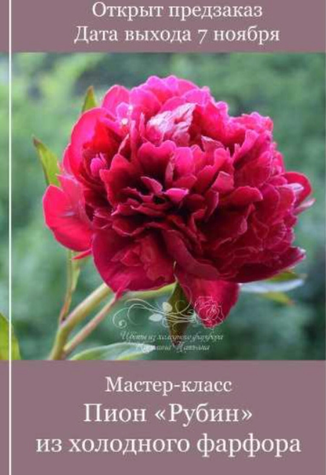 Пион «Рубин» из холодного фарфора (Татьяна Карелина)