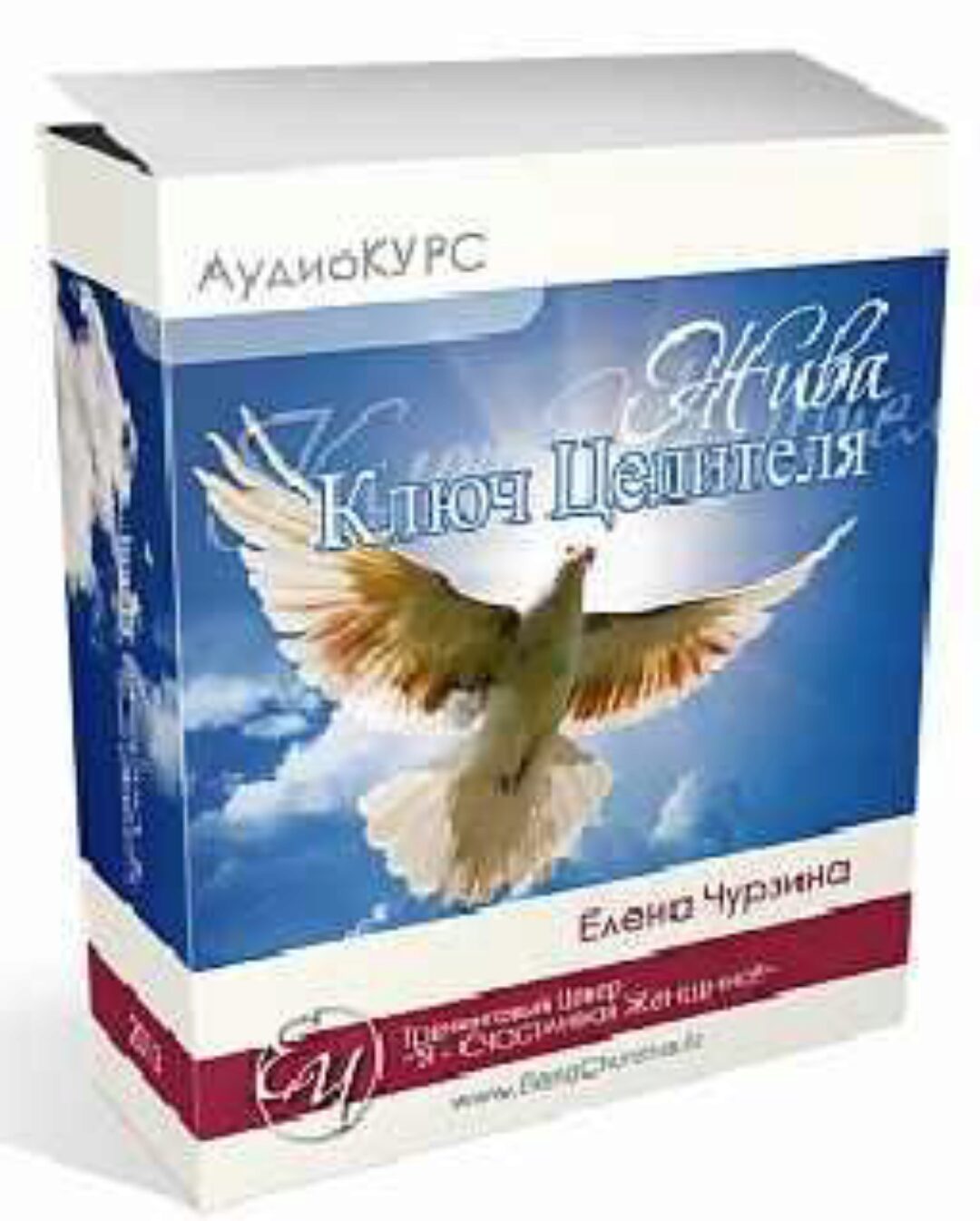 Ключ целителя (Елена Чурзина)