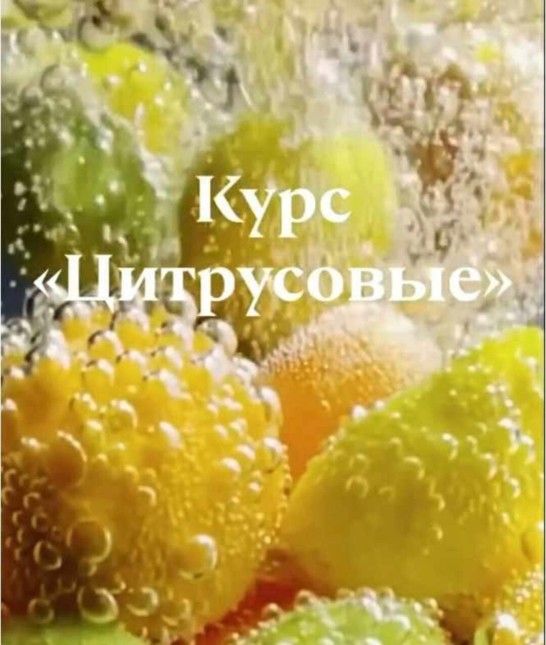 Курс Цитрусовые (ardo_miniature)