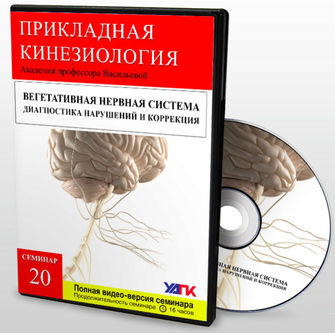 Вегетативная нервная система (Николай Волынкин)