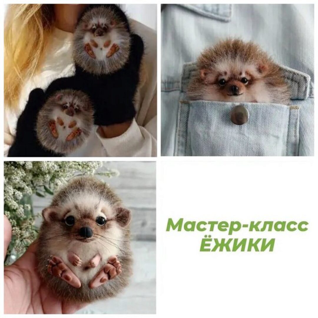 Варежки и брошь Ёжики (Марина Грубер)