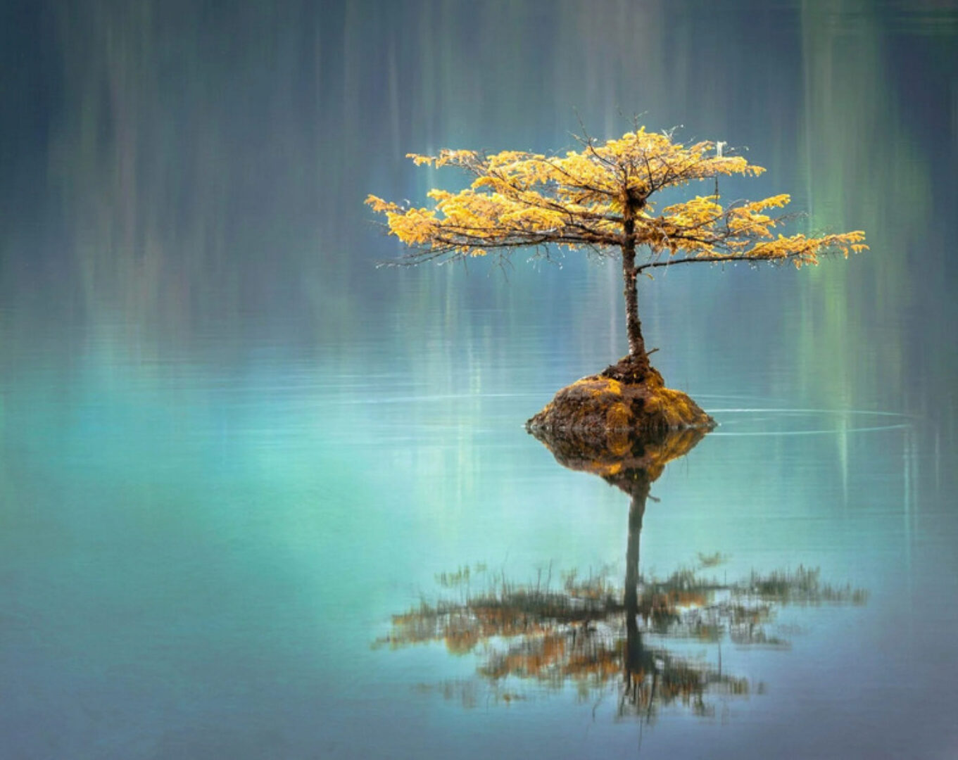 Точка сборки (Андрей Ткаченко)