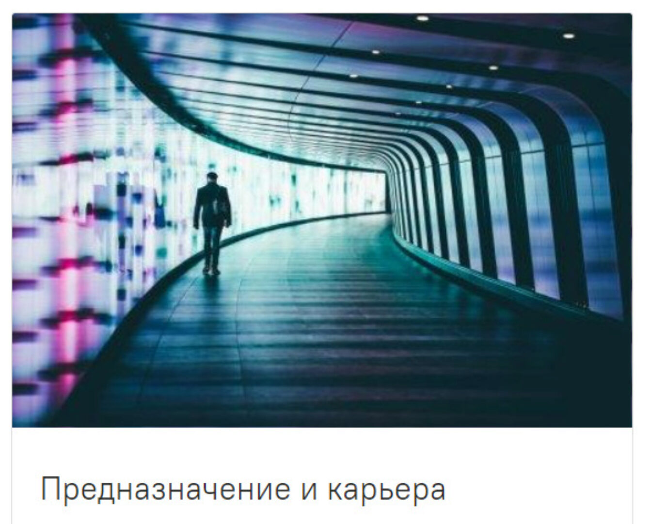 [guru_mangala] Предназначение и карьера. Без домашних заданий(Светлана Блантер)