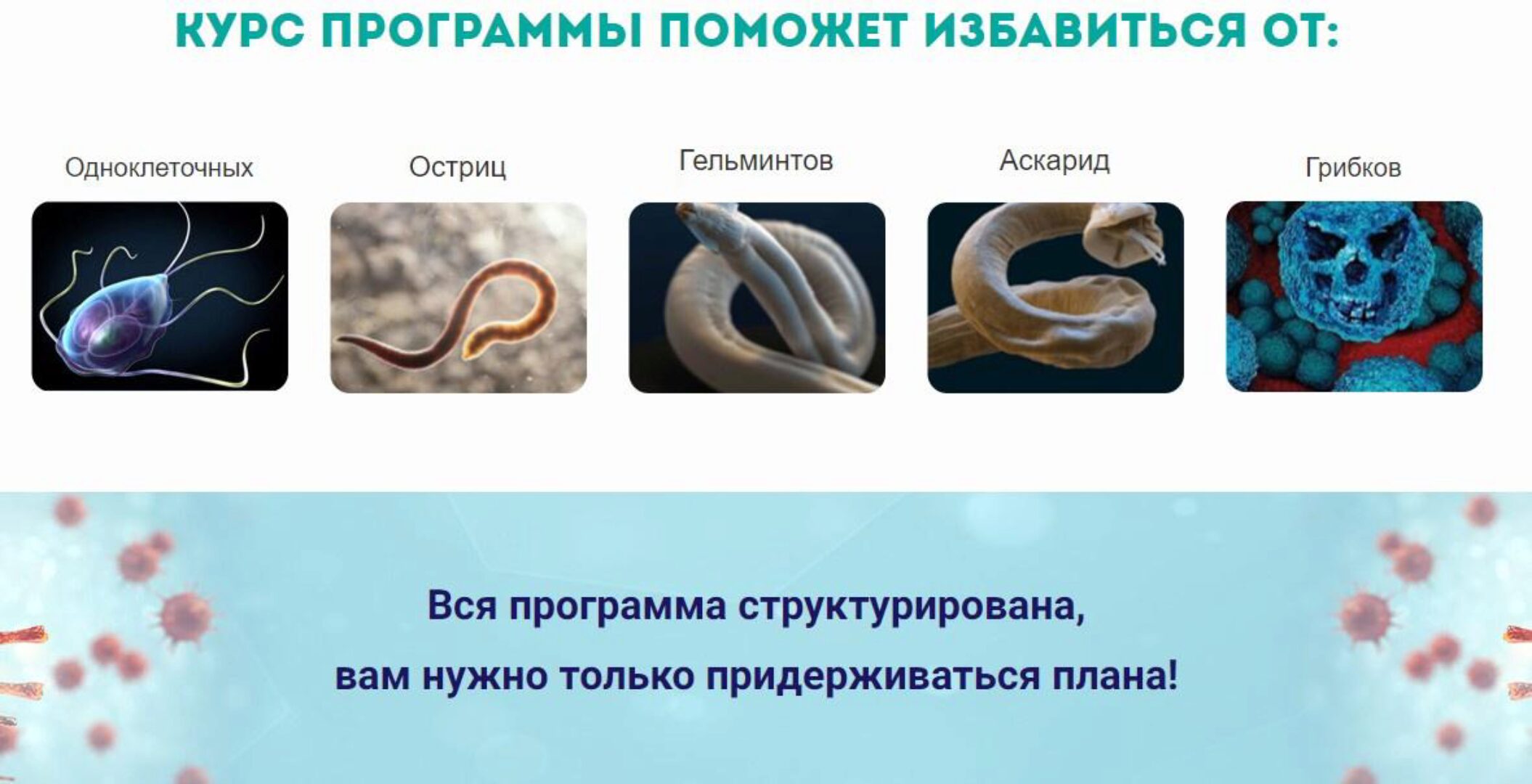 [Urban Queen] Полное антипаразитарное очищение (Наташа Сведовая)