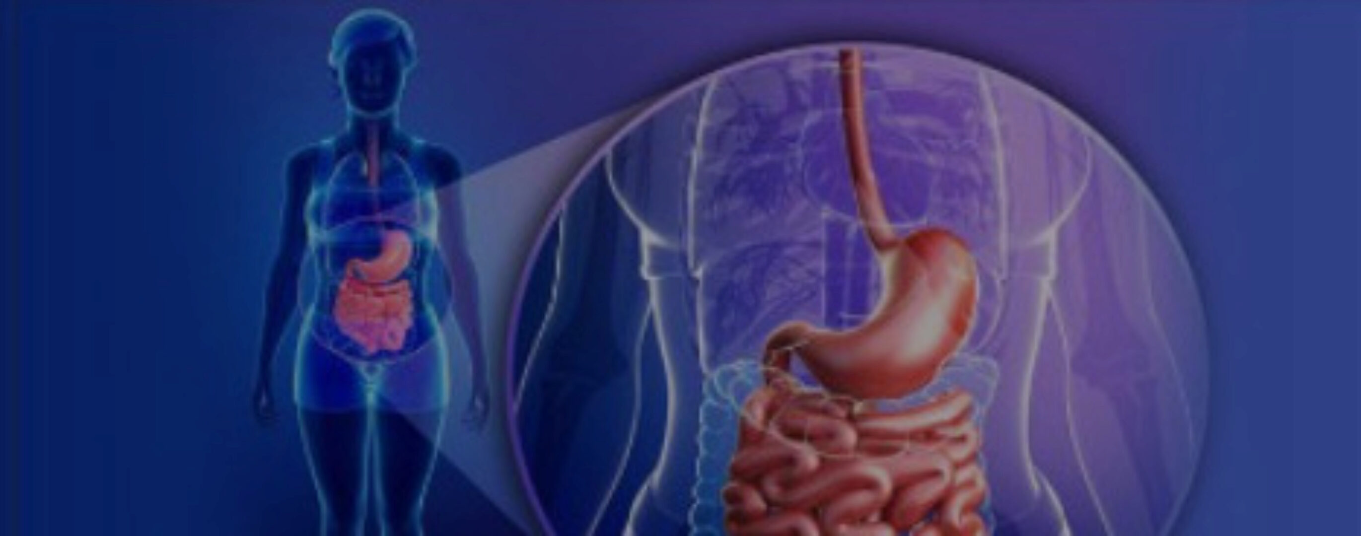 [Детокс центр Кафа] Восстановление ЖКТ (Игорь Кауфман)