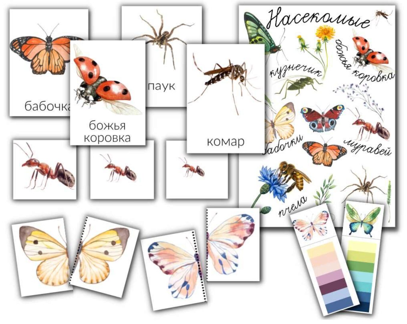 [busy-bee] Насекомые (Елена Самсонова)