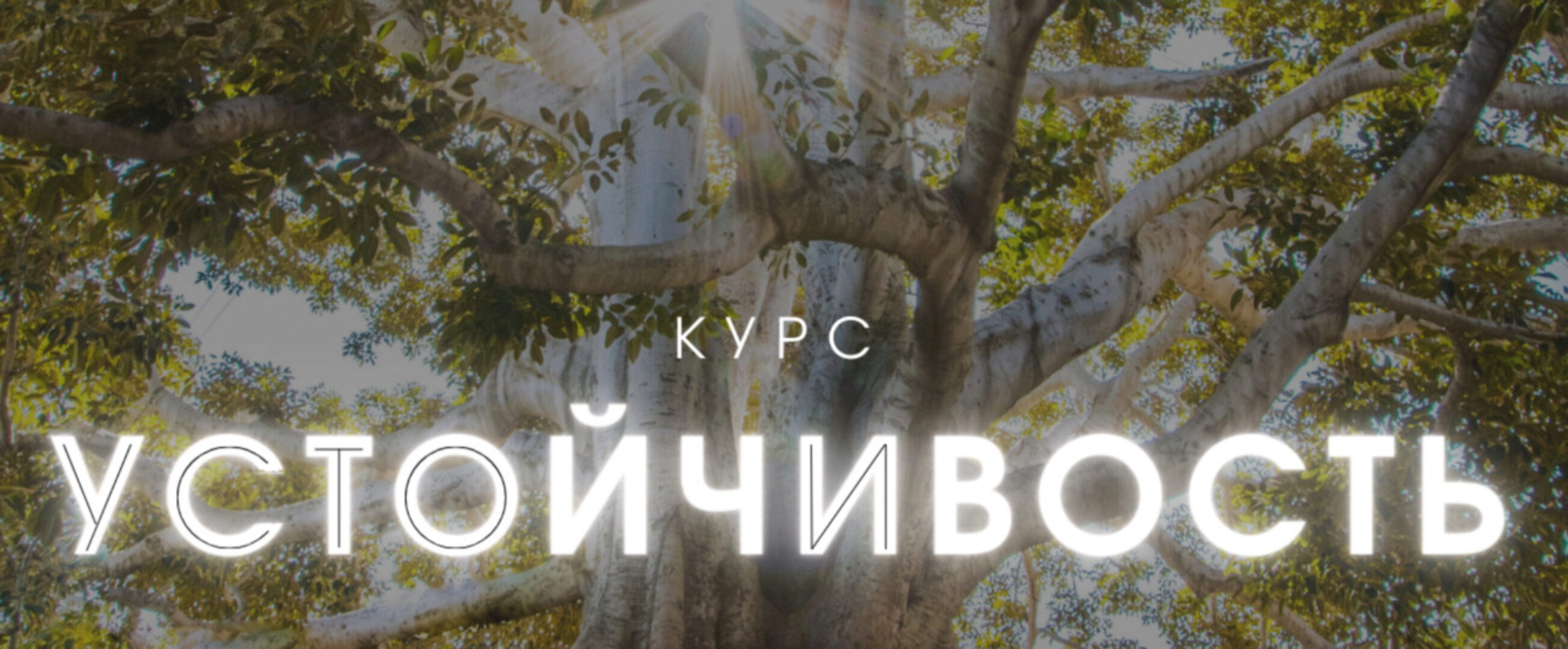 Устойчивость. Тариф Продвинутый (Александра Алексеева)