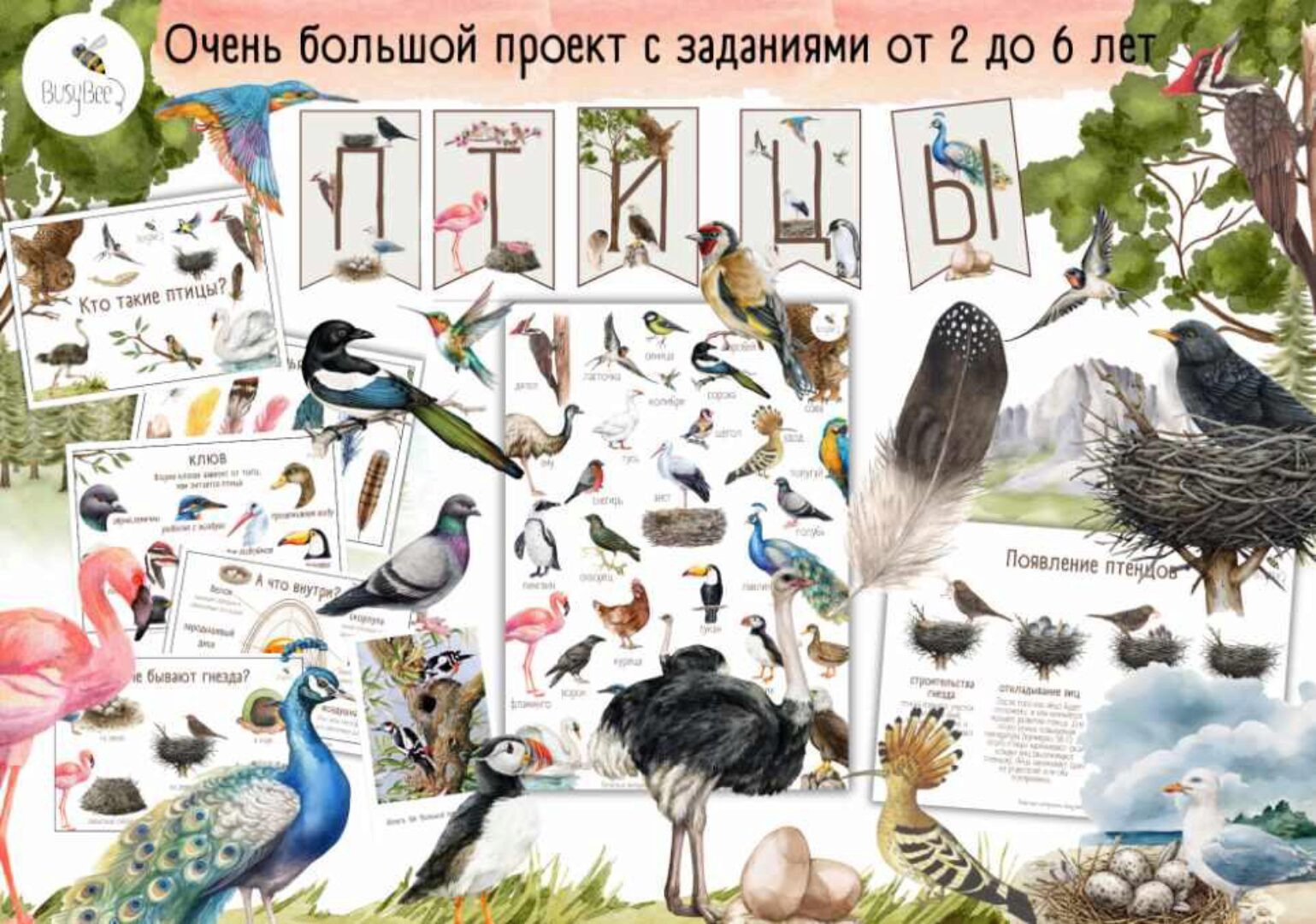 [busy-bee] Большой проект Птицы